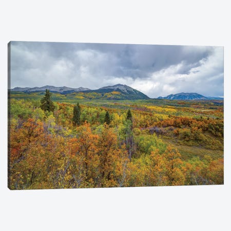 Mountains Of Aspens Canvas Print #SHL442} by Bill Sherrell Canvas Print