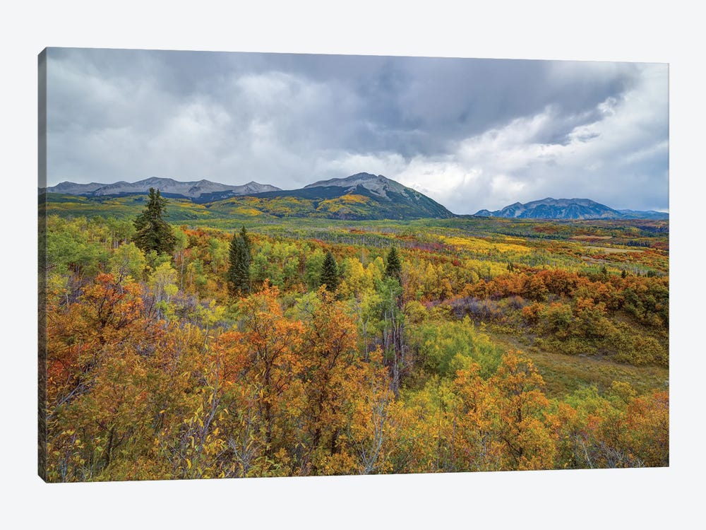 Mountains Of Aspens by Bill Sherrell 1-piece Canvas Print
