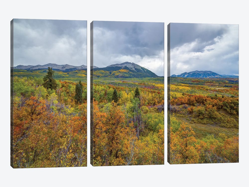 Mountains Of Aspens by Bill Sherrell 3-piece Canvas Print