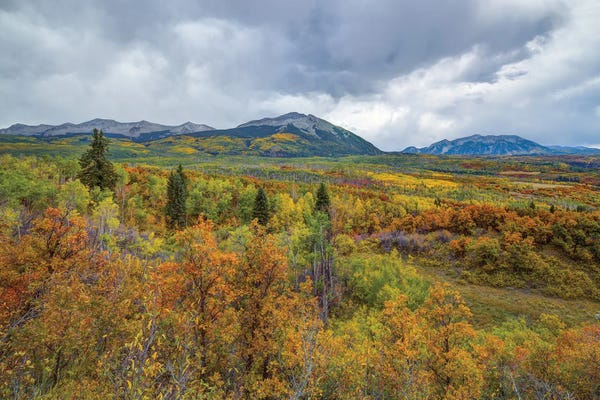 Bill Sherrell: Mountains Of Aspens by Bill Sherrell