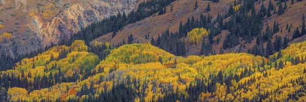 Bill Sherrell: Rolling Hills Of Fire by Bill Sherrell