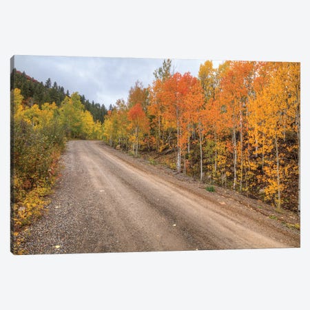 The Road To Color Canvas Print #SHL457} by Bill Sherrell Art Print