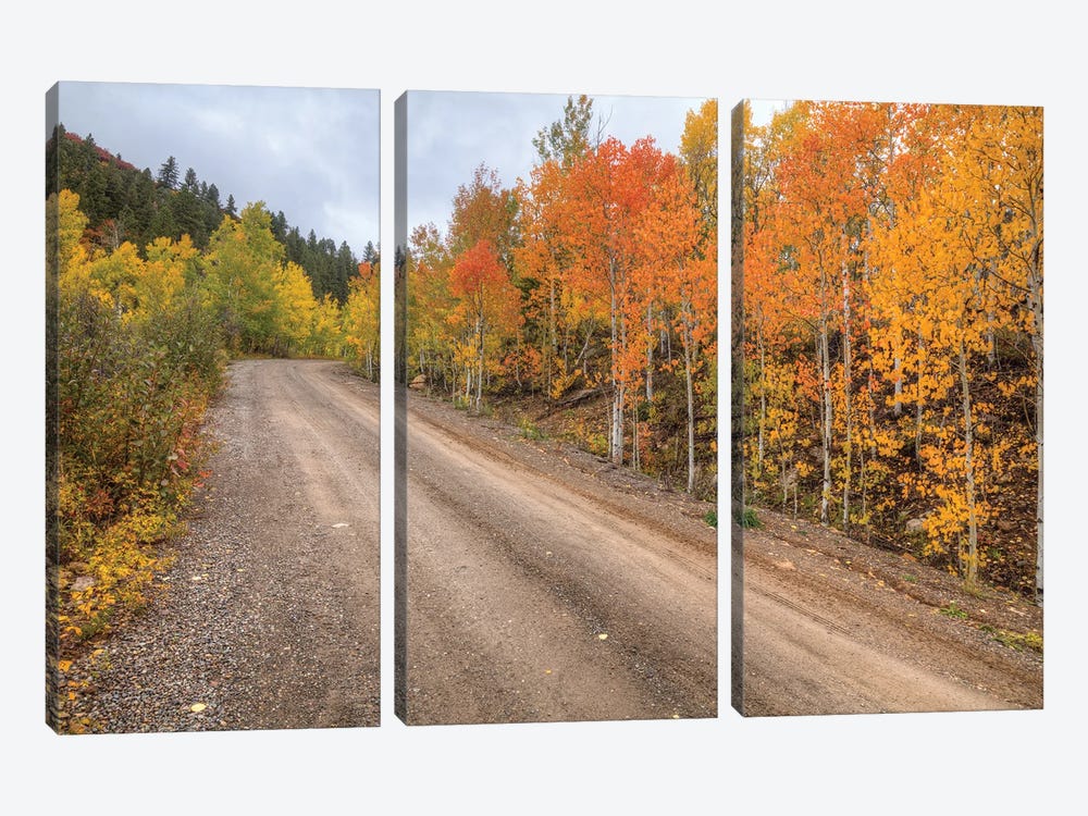 The Road To Color by Bill Sherrell 3-piece Canvas Print