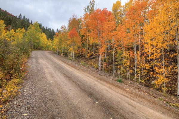 Bill Sherrell: The Road To Color by Bill Sherrell