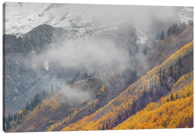 The Unveiling Of Autumn Majesty Canvas Art Print - Bill Sherrell