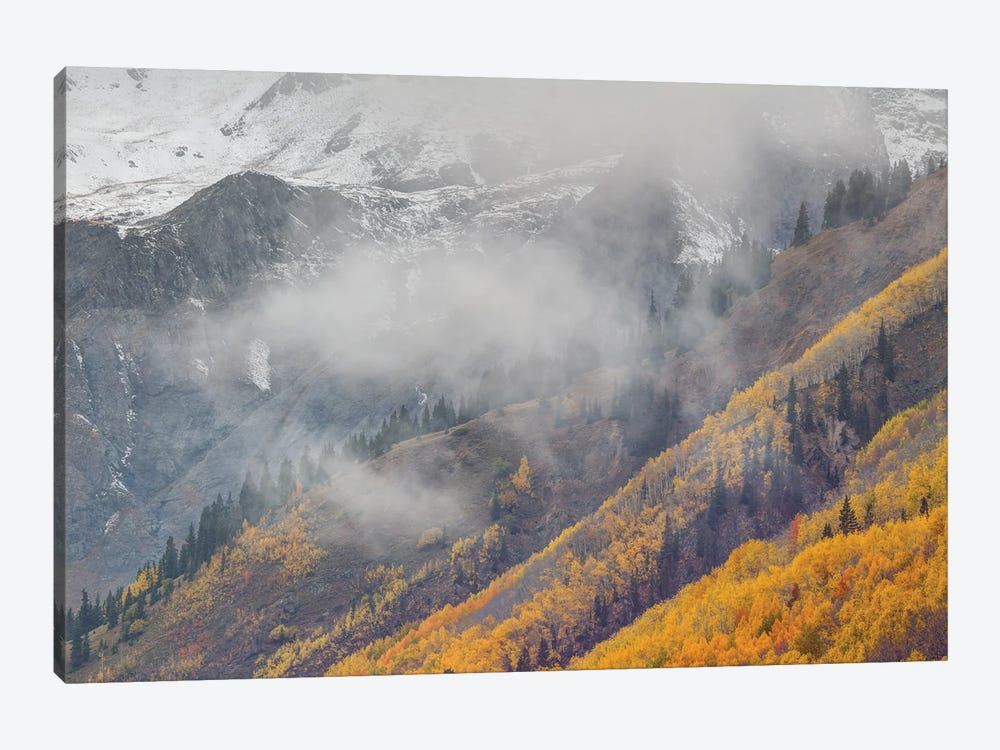 The Unveiling Of Autumn Majesty by Bill Sherrell 1-piece Canvas Print
