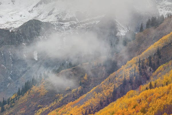 Bill Sherrell: The Unveiling Of Autumn Majesty by Bill Sherrell