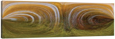 Nature Swirls Canvas Art Print - Bill Sherrell