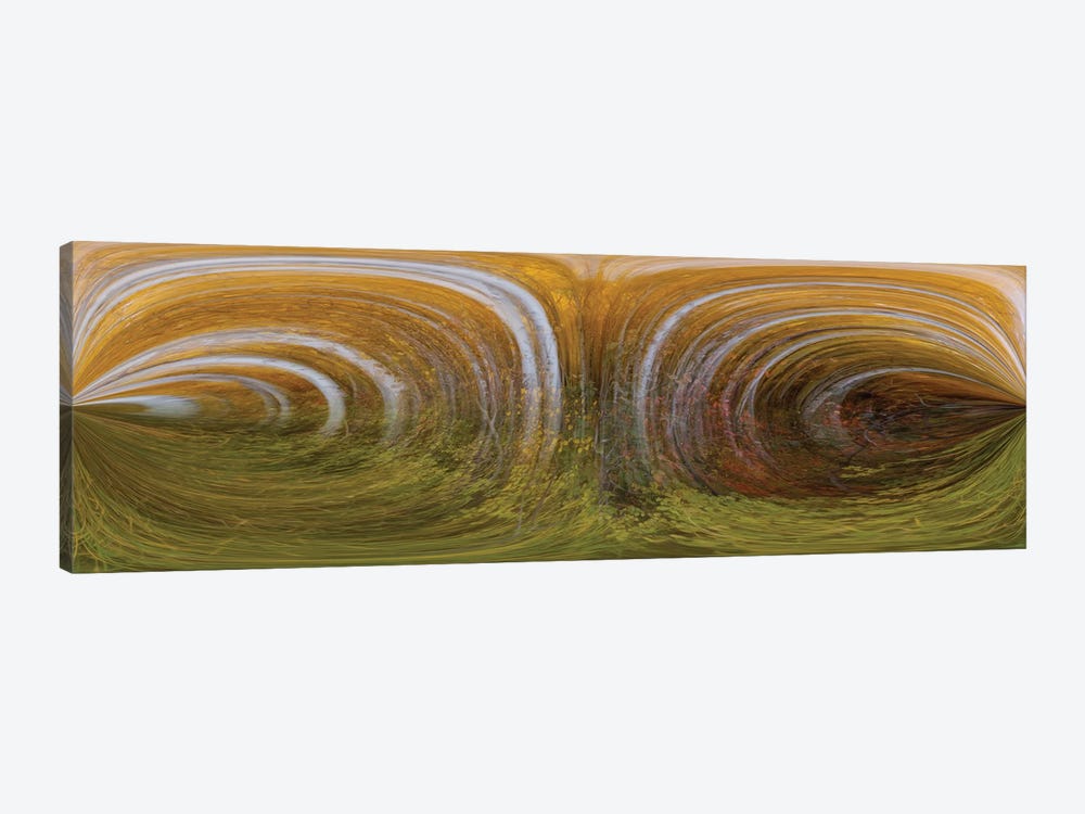 Nature Swirls by Bill Sherrell 1-piece Canvas Wall Art