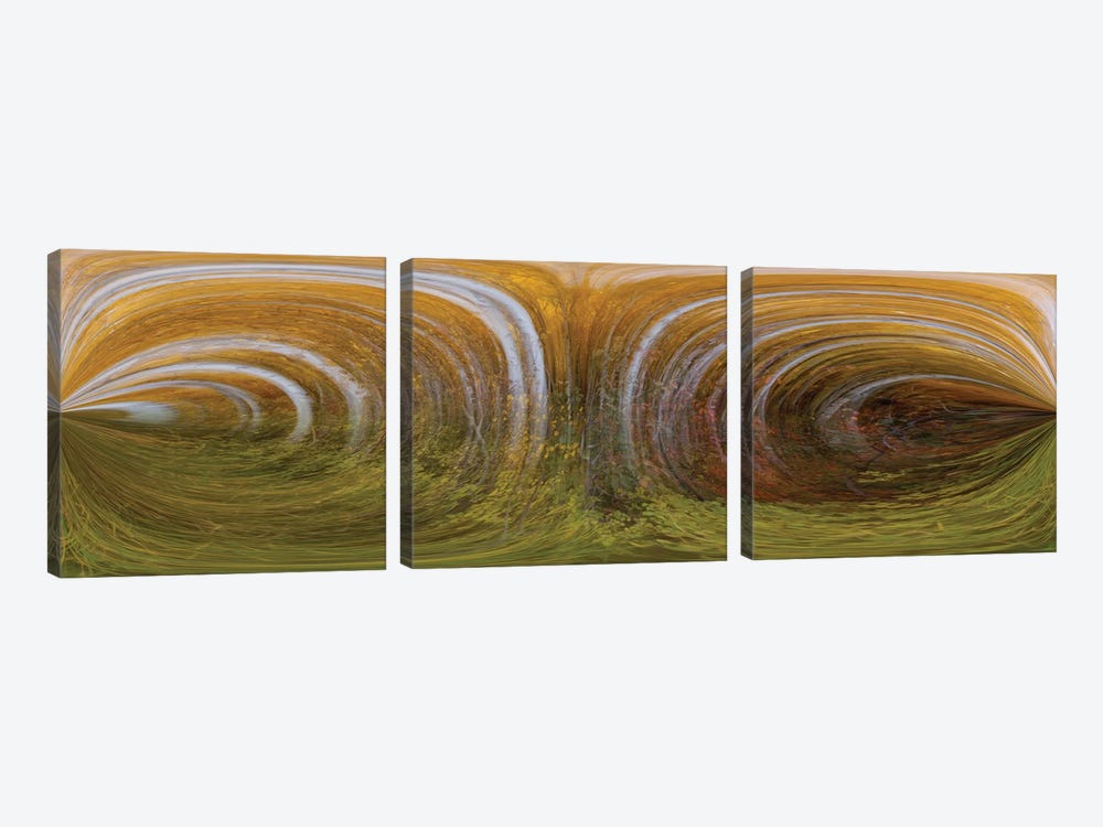 Nature Swirls by Bill Sherrell 3-piece Canvas Art