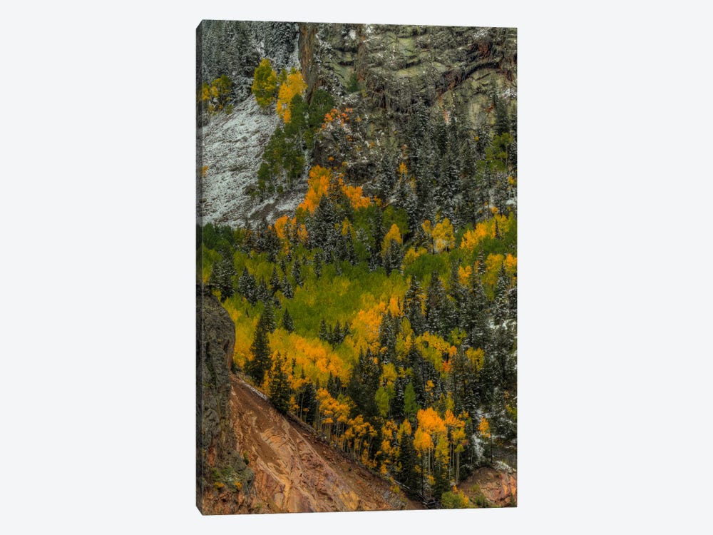 Autumn Grace by Bill Sherrell 1-piece Canvas Artwork