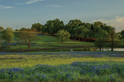 Twilight Serenity by Bill Sherrell framed wall art