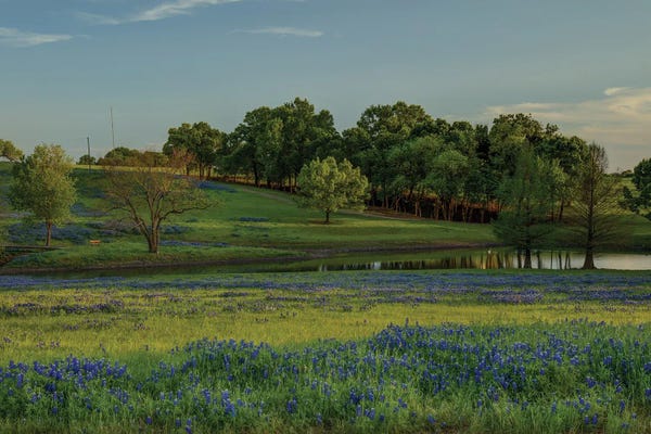 Bill Sherrell: Twilight Serenity by Bill Sherrell