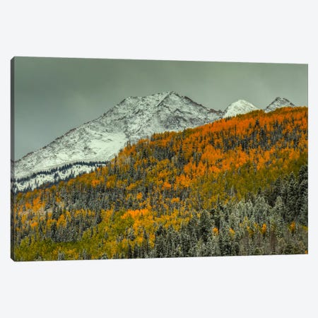 Autumn Mountain Canvas Print #SHL50} by Bill Sherrell Canvas Art Print