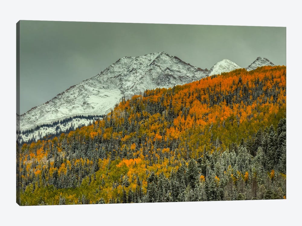 Autumn Mountain by Bill Sherrell 1-piece Canvas Art