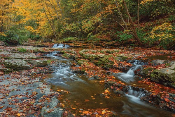 Bill Sherrell: A Stroll For The Soul by Bill Sherrell