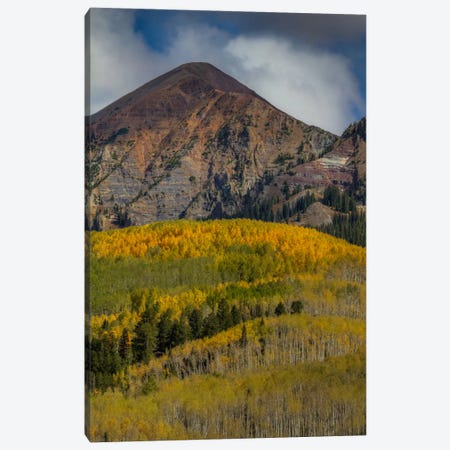 Autumn Mountain Near Crested Butte Canvas Print #SHL51} by Bill Sherrell Canvas Art Print
