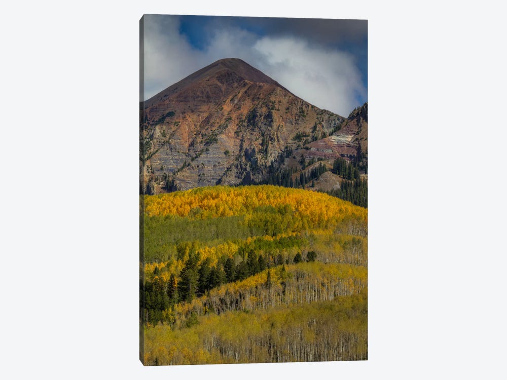 Autumn Mountain Near Crested Butte by Bill Sherrell 1-piece Canvas Art Print