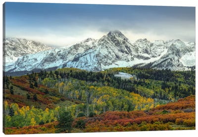 Autumn Prelude At Mount Sneffels Canvas Art Print - Bill Sherrell