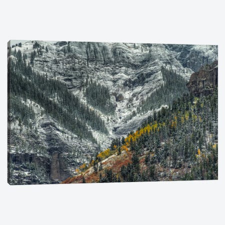 Autumn Slice And Majestic Delineation Canvas Print #SHL53} by Bill Sherrell Canvas Print