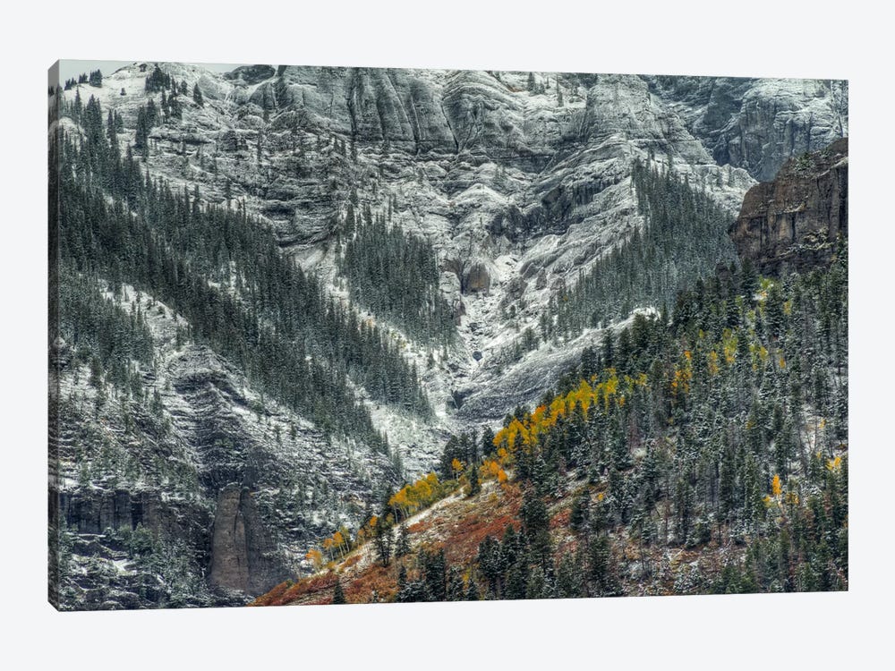 Autumn Slice And Majestic Delineation by Bill Sherrell 1-piece Art Print