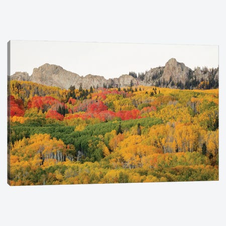Paradise In Crested Butte Canvas Print #SHL561} by Bill Sherrell Canvas Art