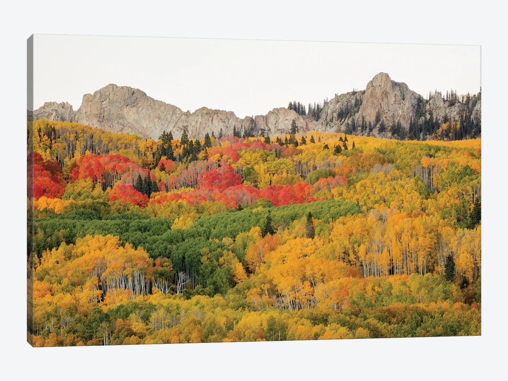 Paradise In Crested Butte by Bill Sherrell 1-piece Canvas Print