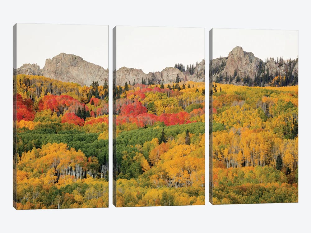 Paradise In Crested Butte by Bill Sherrell 3-piece Canvas Art Print