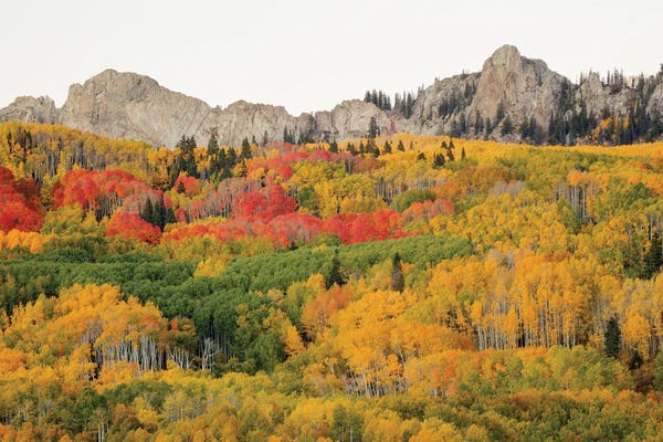 Layered Landscapes: Paradise In Crested Butte by Bill Sherrell