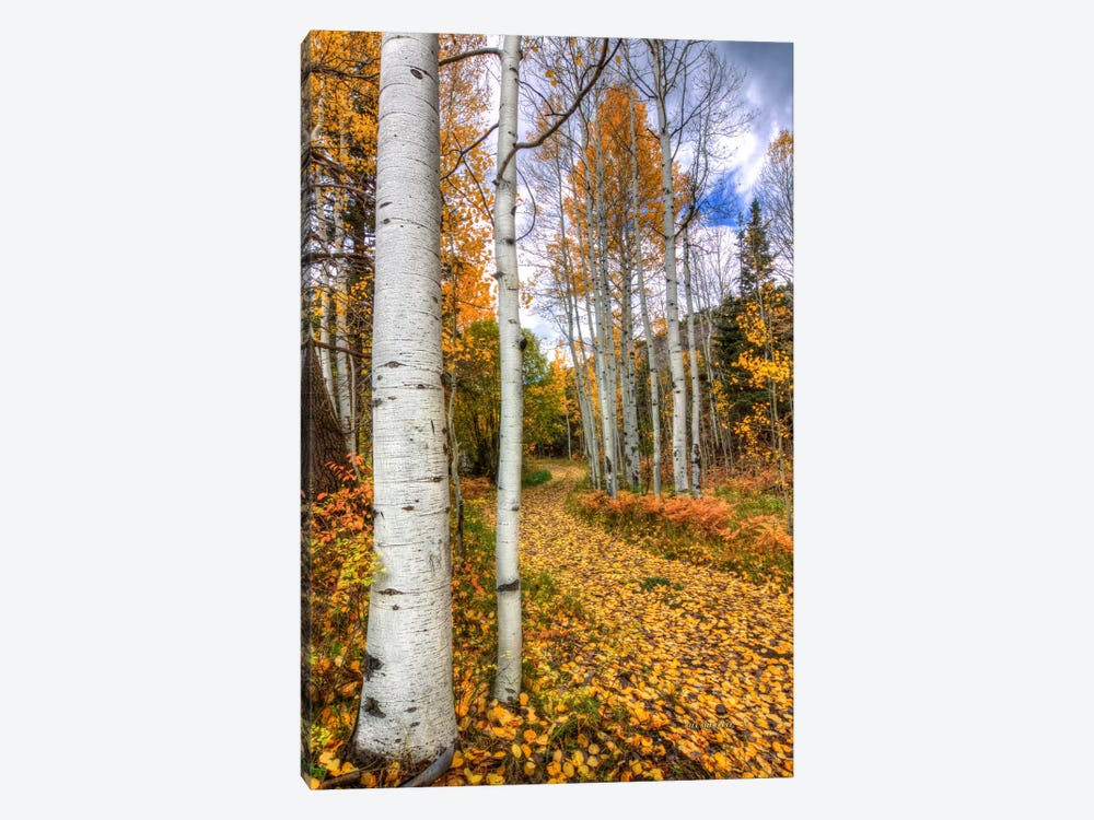 Autumn Stroll by Bill Sherrell 1-piece Canvas Art