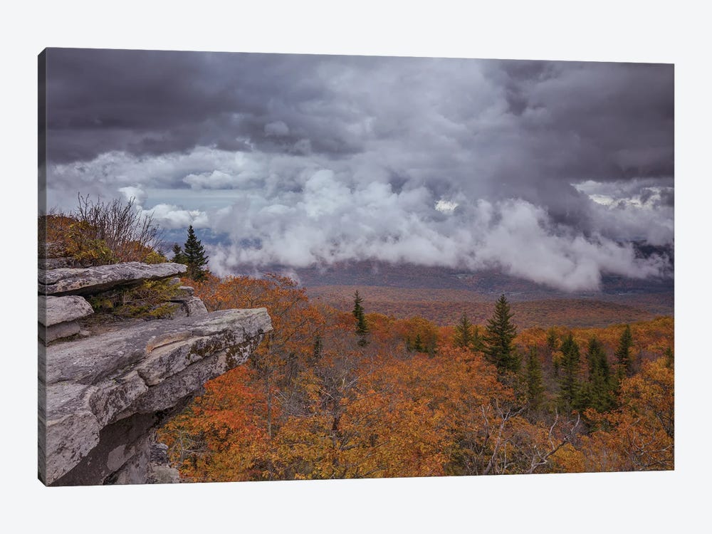 Storm Over Bear Rocks Preserve At Dolly Sods III by Bill Sherrell 1-piece Canvas Art Print