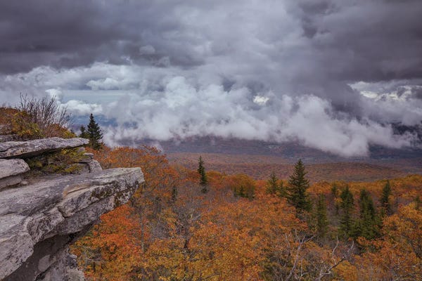 Bill Sherrell: Storm Over Bear Rocks Preserve At Dolly Sods III by Bill Sherrell