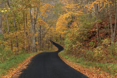 The Road To Autumn by Bill Sherrell canvas print