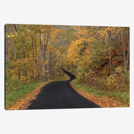The Road To Autumn Canvas Print #SHL581} by Bill Sherrell Canvas Artwork