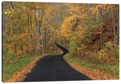 The Road To Autumn Canvas Art Print - Bill Sherrell