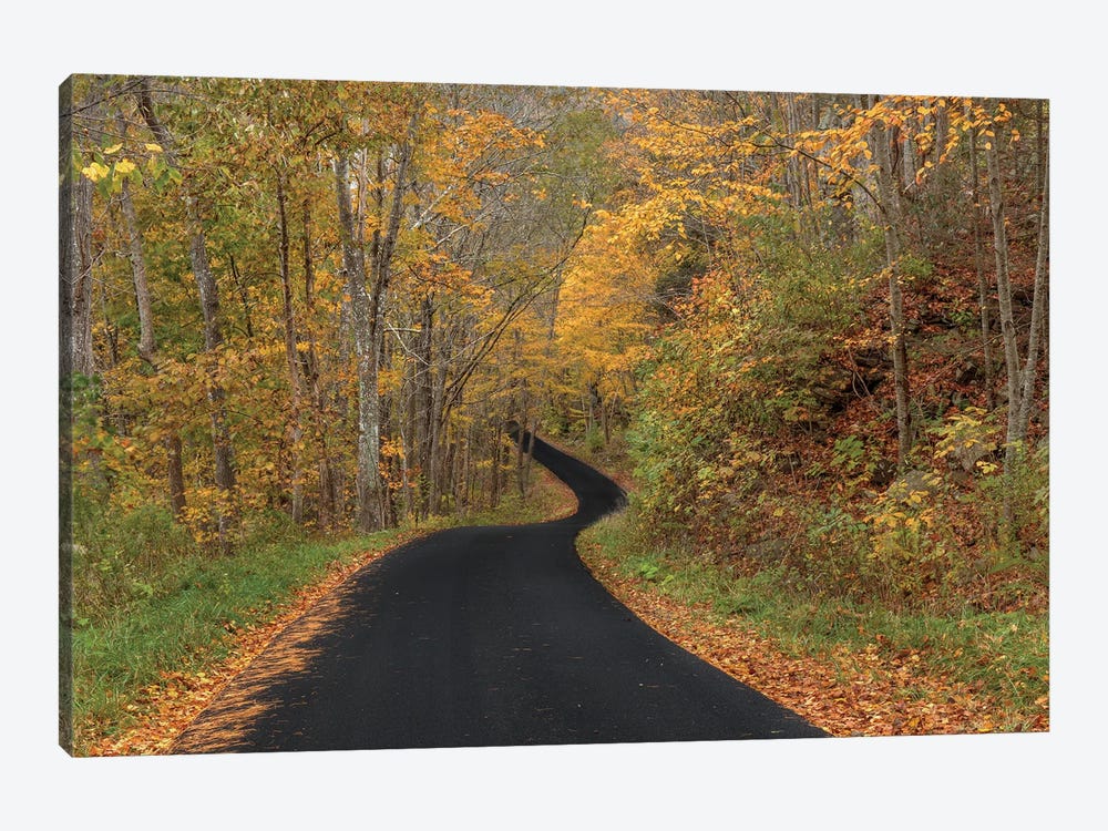 The Road To Autumn by Bill Sherrell 1-piece Art Print