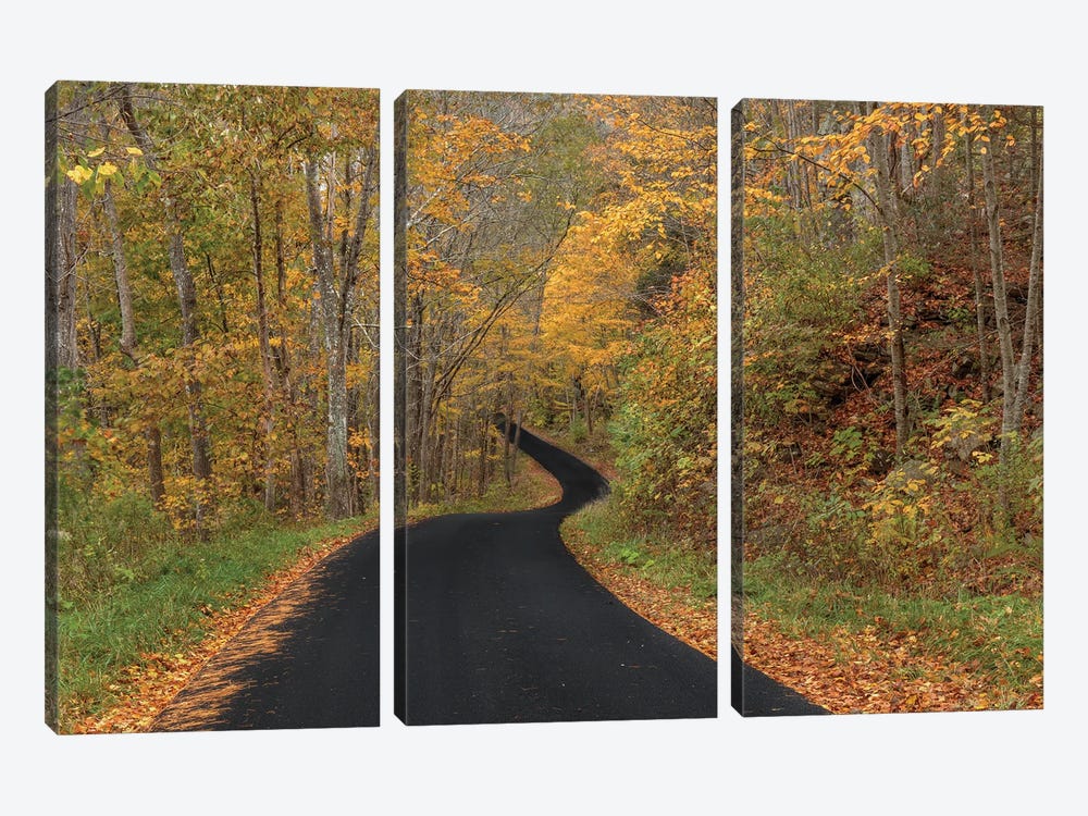 The Road To Autumn by Bill Sherrell 3-piece Canvas Art Print