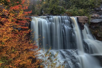 Color At Blackwater Falls I by Bill Sherrell framed wall art