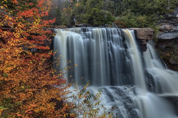 Bill Sherrell: Color At Blackwater Falls I by Bill Sherrell