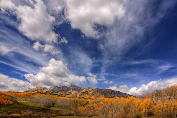 Bill Sherrell: Autumn Vista by Bill Sherrell