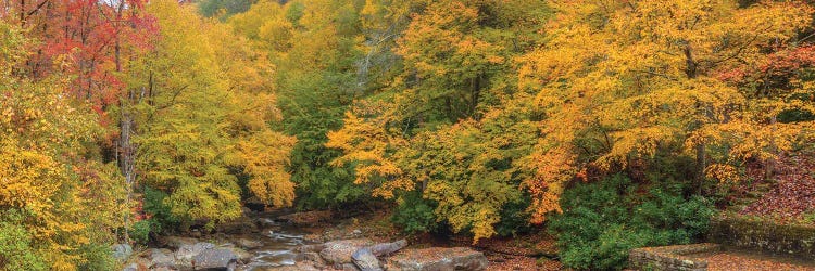 Autumn In West Virginia I