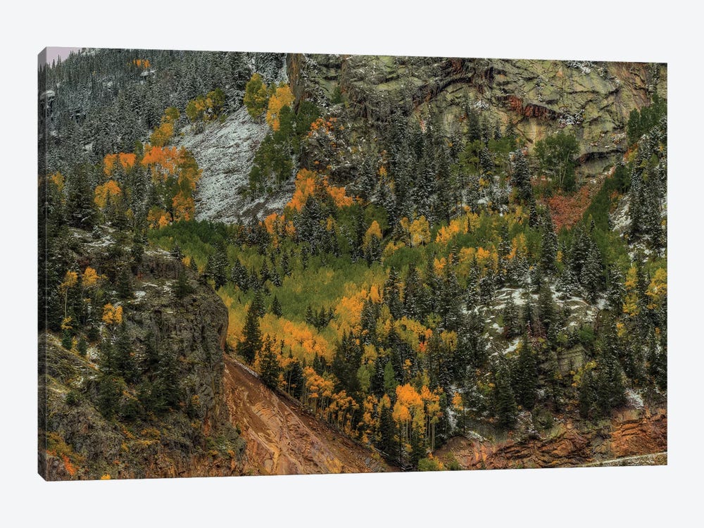 Autumn Wall by Bill Sherrell 1-piece Canvas Art