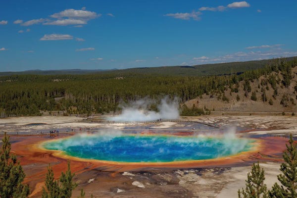 Bill Sherrell: A Colorful Pooling Of Resources by Bill Sherrell