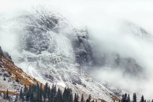 Evergreen Trees: A Glimpse Of Heaven by Bill Sherrell