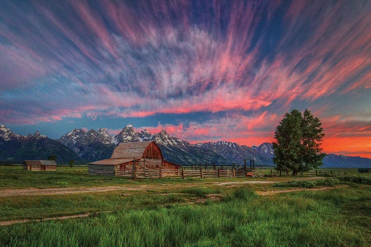 Beneath Teton Glory