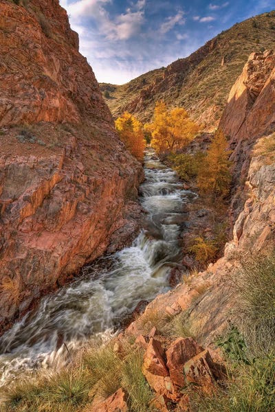 Bill Sherrell: Canyon Of Dreams by Bill Sherrell