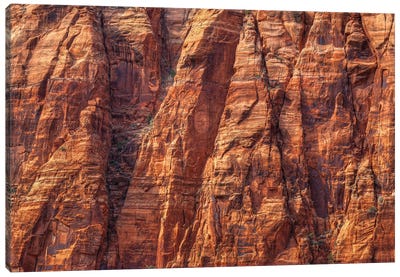 Cliffhanger Canvas Art Print - Canyon Art