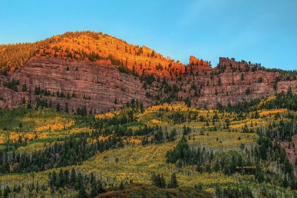 Evergreen Trees: Cliffhanger Autumn by Bill Sherrell