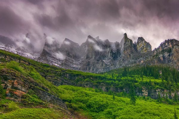 Bill Sherrell: A Majestic Presence by Bill Sherrell