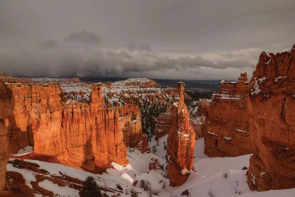 Bill Sherrell: Color After The Storm by Bill Sherrell